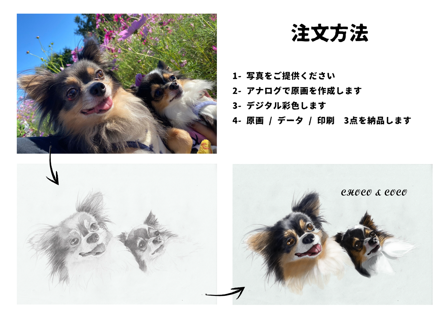 動物似顔絵 Animal Portrait