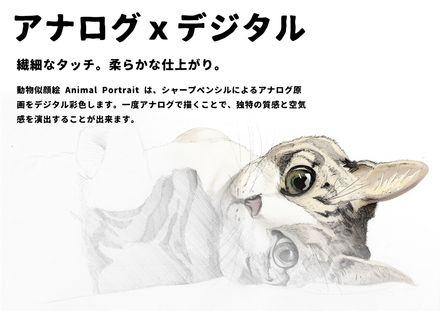 動物似顔絵 Animal Portrait