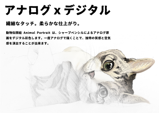 動物似顔絵 Animal Portrait